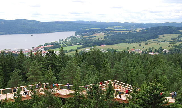 640px Stezka korunami stromu. Lipno nad Vltavou. 13